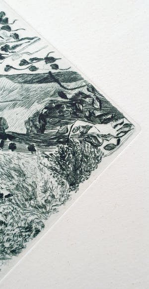 Lydia Luyten - Ets in oplage kopen? Bied vanaf 25!