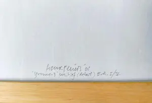 Henk Peeters - 'yvonne-3' positief (detail) kopen? Bied vanaf 250!