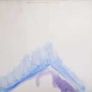 Mark Polee - Acryl op doek, Een soort dier (Groot) kopen? Bied vanaf 1!