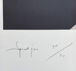 Rob Scholte - Sprookjes, zeefdruk (groot!) kopen? Bied vanaf 195!