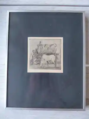 Andries Minderhout - Camarque - Zigeuners kopen? Bied vanaf 25!