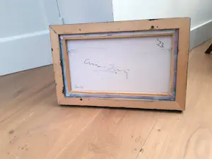 Erwin van Krey - Saal kopen? Bied vanaf 350!