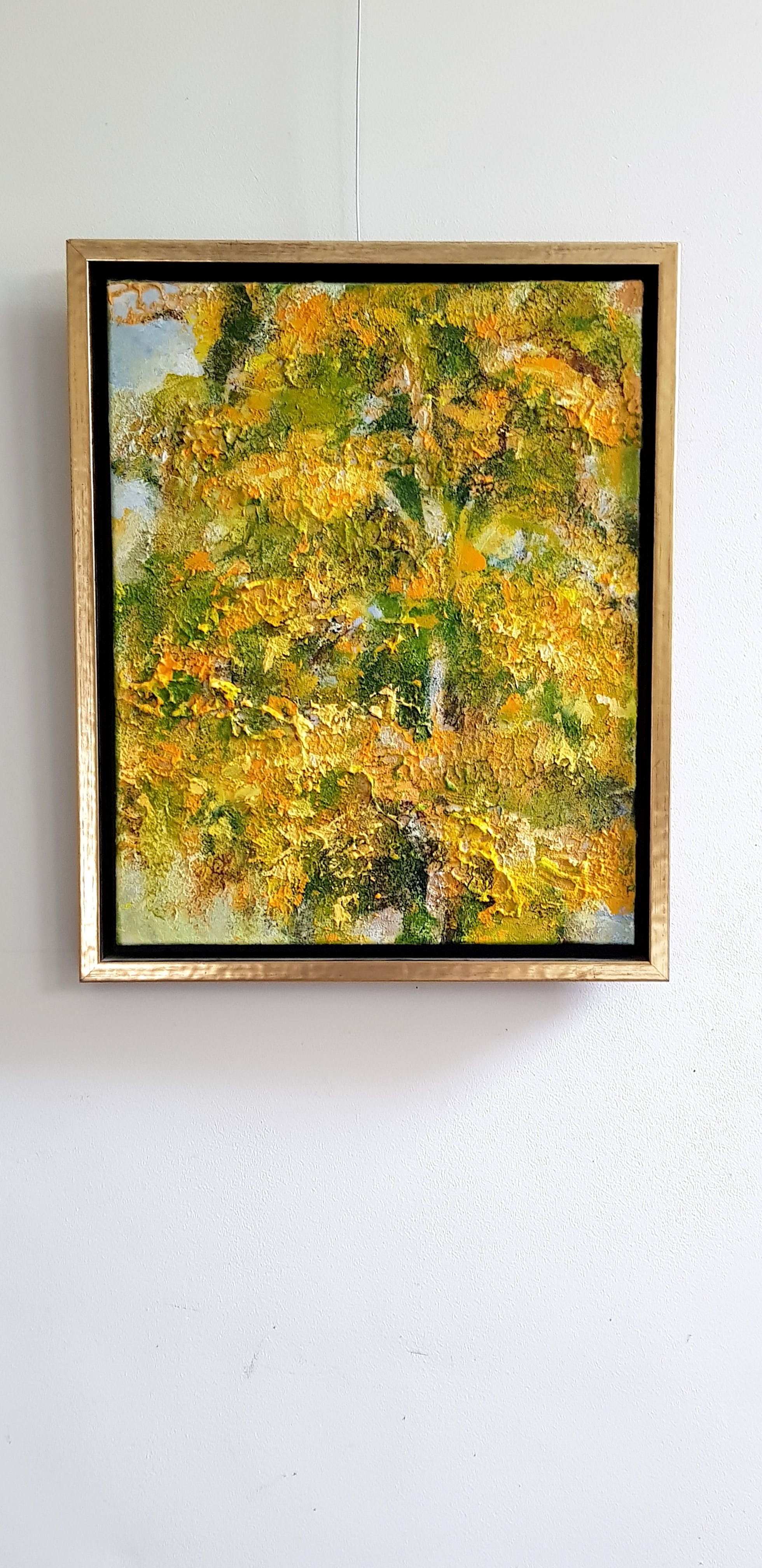 Frans van de Vrande - Berk in de herfst verkocht voor € 125!
