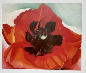 Georgia O’Keeffe - Set van drie prints,Klaproos,Trompetbloem en Bladeren Patroon kopen? Bied vanaf 30!