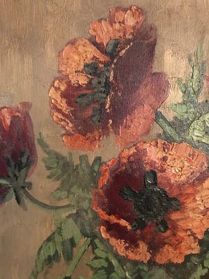 Niet of onleesbaar gesigneerd - Klaprozen kopen? Bied vanaf 1!