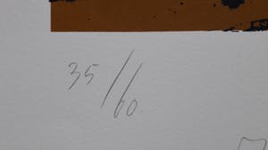 Hewald Jongenelis - Knollen voor citroenen kopen? Bied vanaf 25!