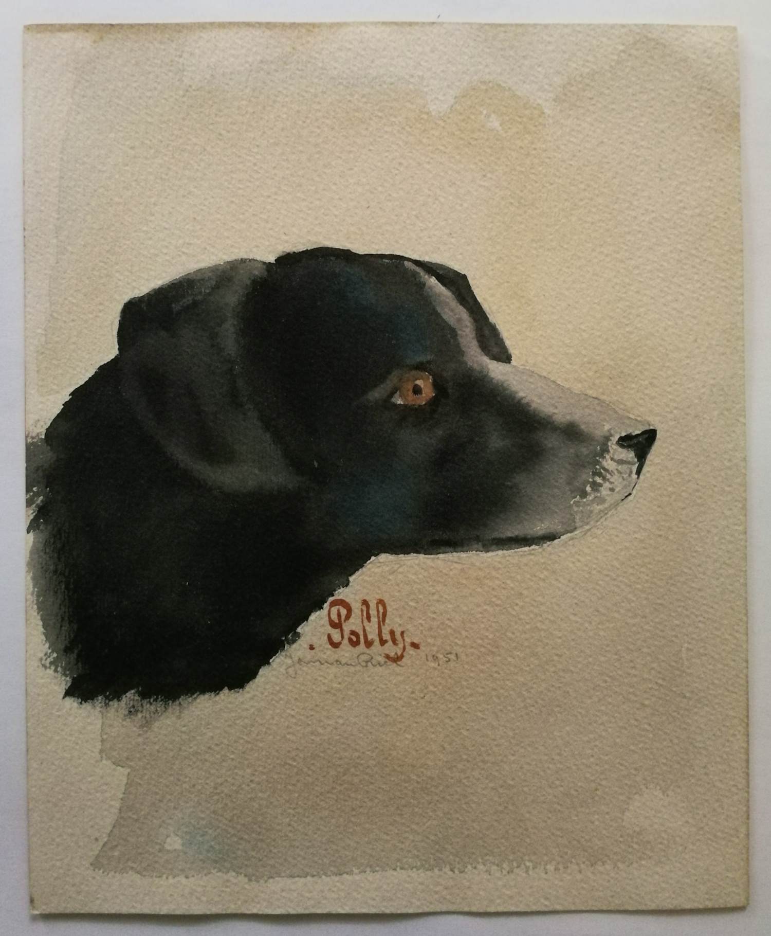 Jan van Riel - Hond. 'Polly'. 1951 verkocht voor € 69!