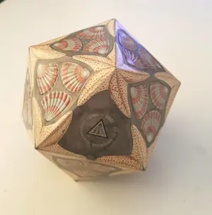 Maurits Cornelis Escher - Icosaeder (Icosahedron) VERBLIFA compleet met bodem kopen? Bied vanaf 1250!