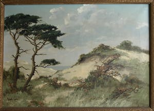 Peter Cox - Olieverf op doek , Duinlandschap – ingelijst – 70 x 90 cm kopen? Bied vanaf 200!