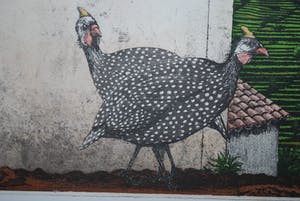 Rolf Weijburg - Gomera - kleurets oplage 45 kopen? Bied vanaf 150!