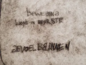 Adriaan Nette - Beweging loopt in eerste gevoel binnen. kopen? Bied vanaf 59!