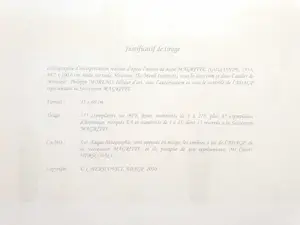 Rene Magritte - Golconde kopen? Bied vanaf 490!