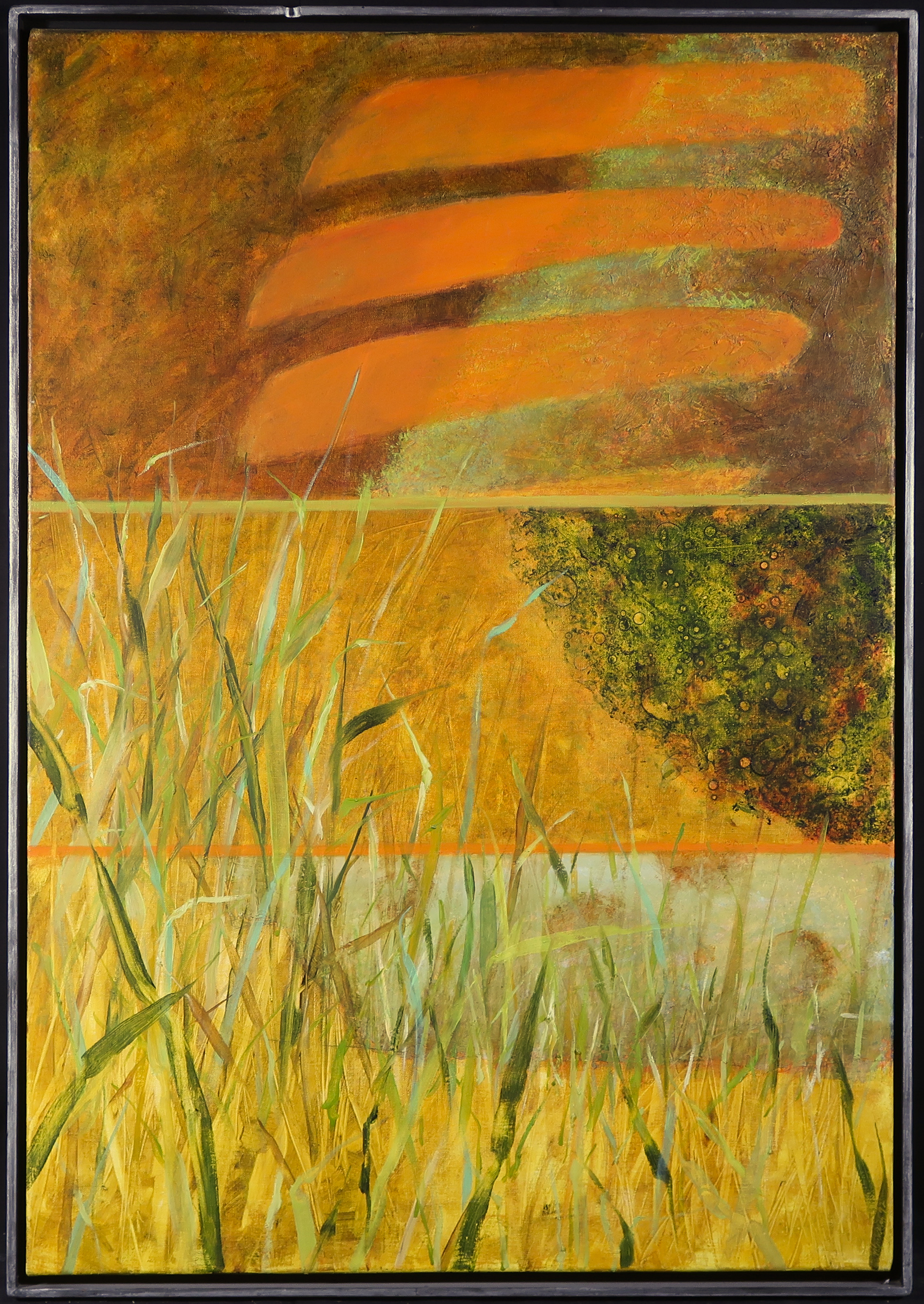 Niet of onleesbaar gesigneerd - Olieverf op doek, Riet - Ingelijst  verkocht voor € 1!