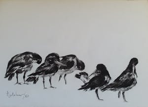 Andre Tigchelaar - Scholeksters kopen? Bied vanaf 20!