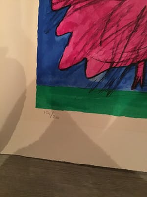 Corneille - Twee kippen ,hanen kopen? Bied vanaf 30!