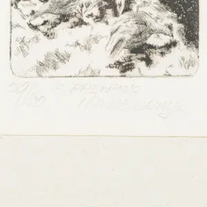 Ton de Kruyk - Kippenhok kopen? Bied vanaf 20!