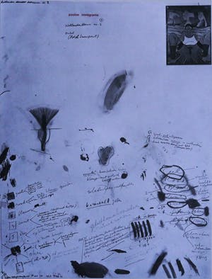 Niet of onleesbaar gesigneerd - Poolse immigrante kopen? Bied vanaf 1!