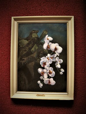 Cor Jacobi - in 1959 Magisch Realistisch geschilderd "Witytte Orchidee aan tak" gesigneerd kopen? Bied vanaf 64!