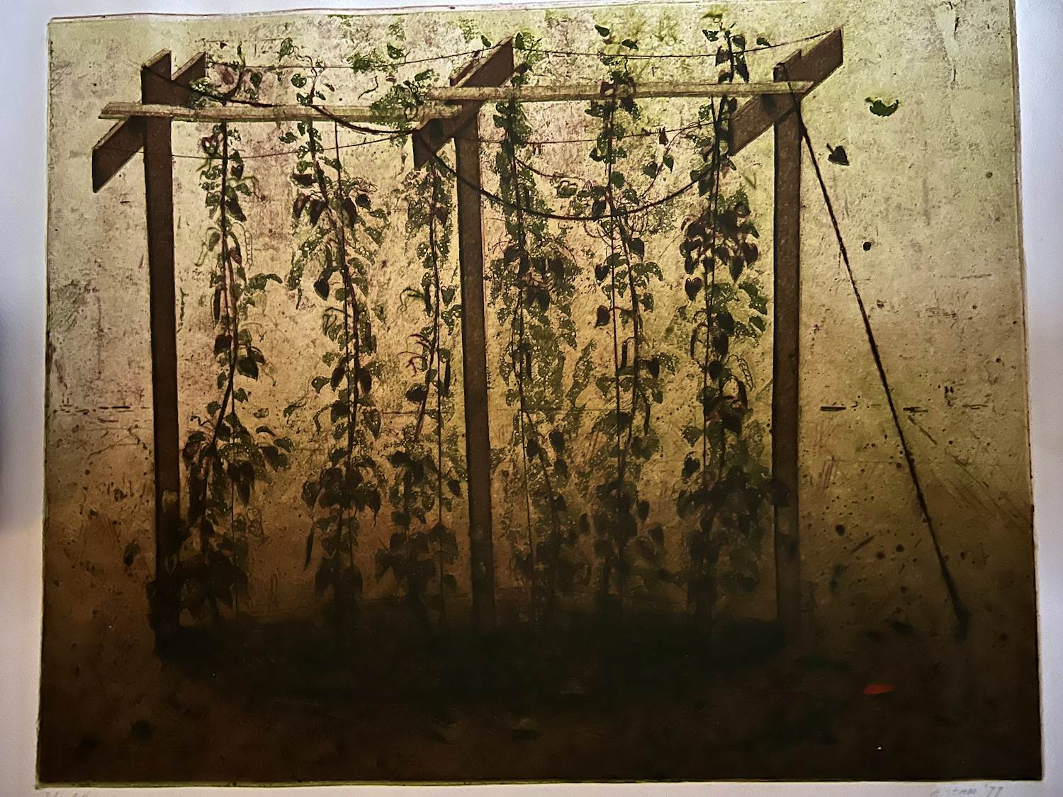 Arthur Stam - Volkstuin kopen? Bied vanaf 75!