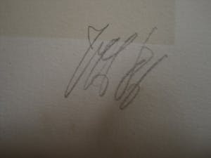 Peter Vos - bekend Utrechts Graficus & illustrator - Litho - "Oude man & uil" - VANAF 10€!!! kopen? Bied vanaf 10!