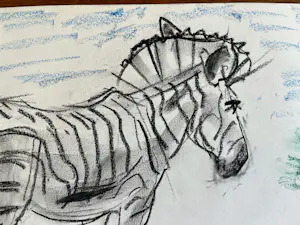 Cornelis Jan Mension - Tekening van een zebra, gemaakt in Artis kopen? Bied vanaf 80!