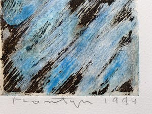 Jan Montyn - kleurenets - 'De nieuwe mens | Interior Cambodga' - 1994 (Kleine oplage) kopen? Bied vanaf 140!