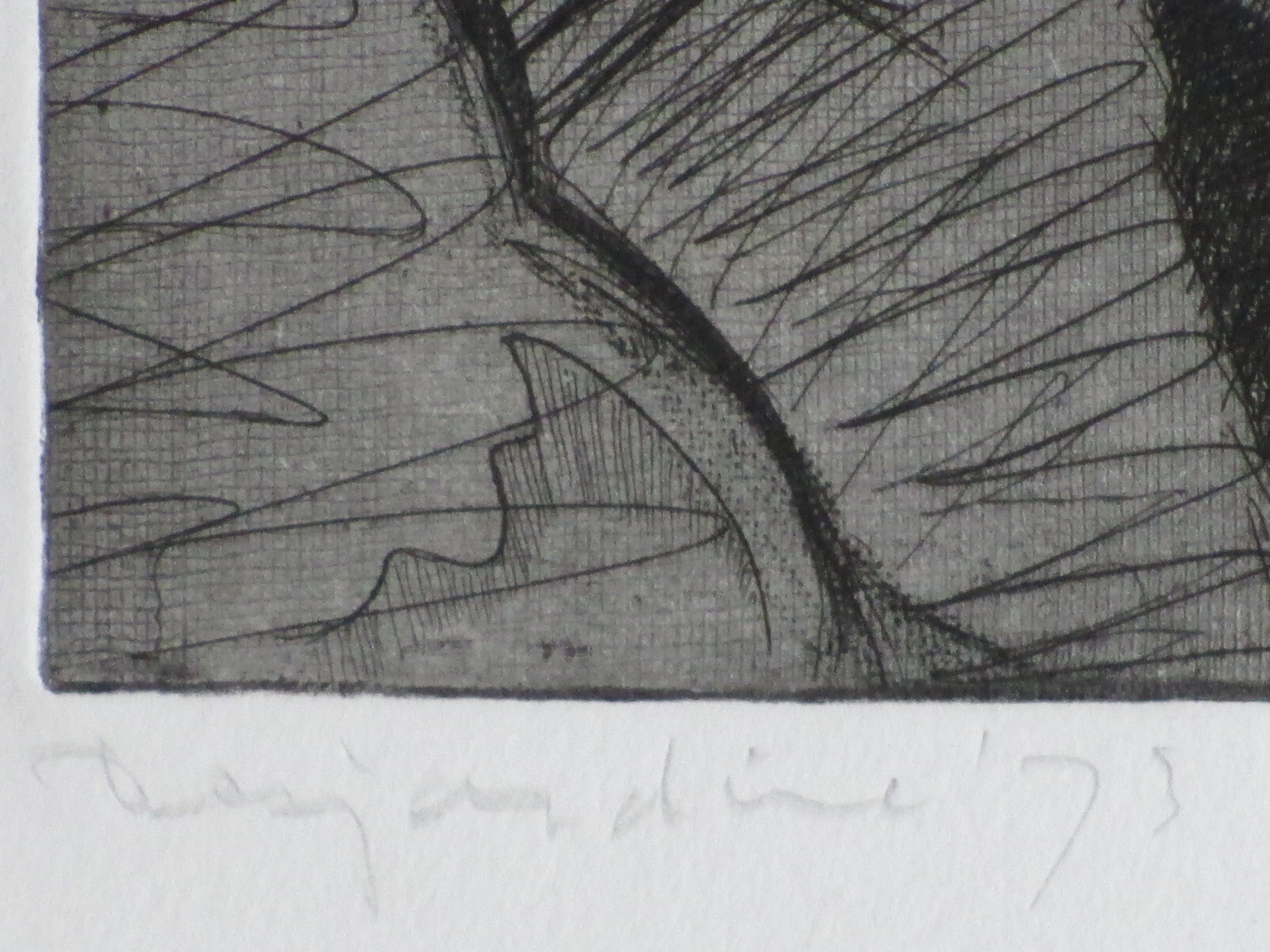 David Desjardine - Abstract landschap - Ets kopen? Bied vanaf 25!