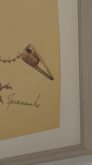 Panamarenko - Archaeopterix kopen? Bied vanaf 400!