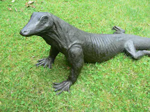 Peter Petersen - Komodo Varaan (uniek!) kopen? Bied vanaf 2895!