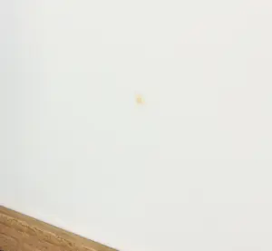 Mark Verdoes - Giclée, India 2 - Ingelijst kopen? Bied vanaf 1!