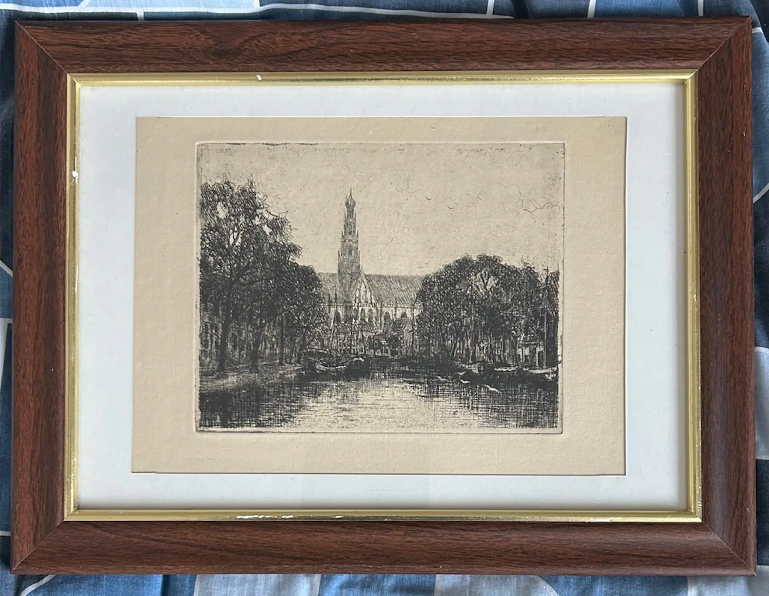 Cornelia Hoevenaar (1854-1924)