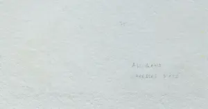 Bernard Alligand - Twee werken: Caresses d´ été en Vestiges kopen? Bied vanaf 49!