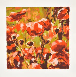 Henri Hess - Klaprozen kopen? Bied vanaf 1!