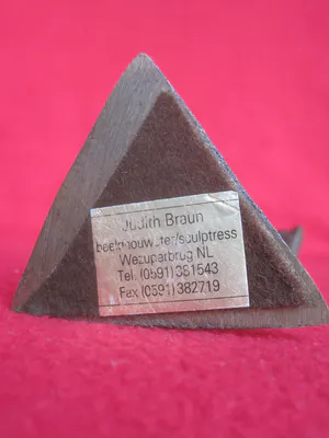 Judith Braun - De Engelbewaarder. kopen? Bied vanaf 60!