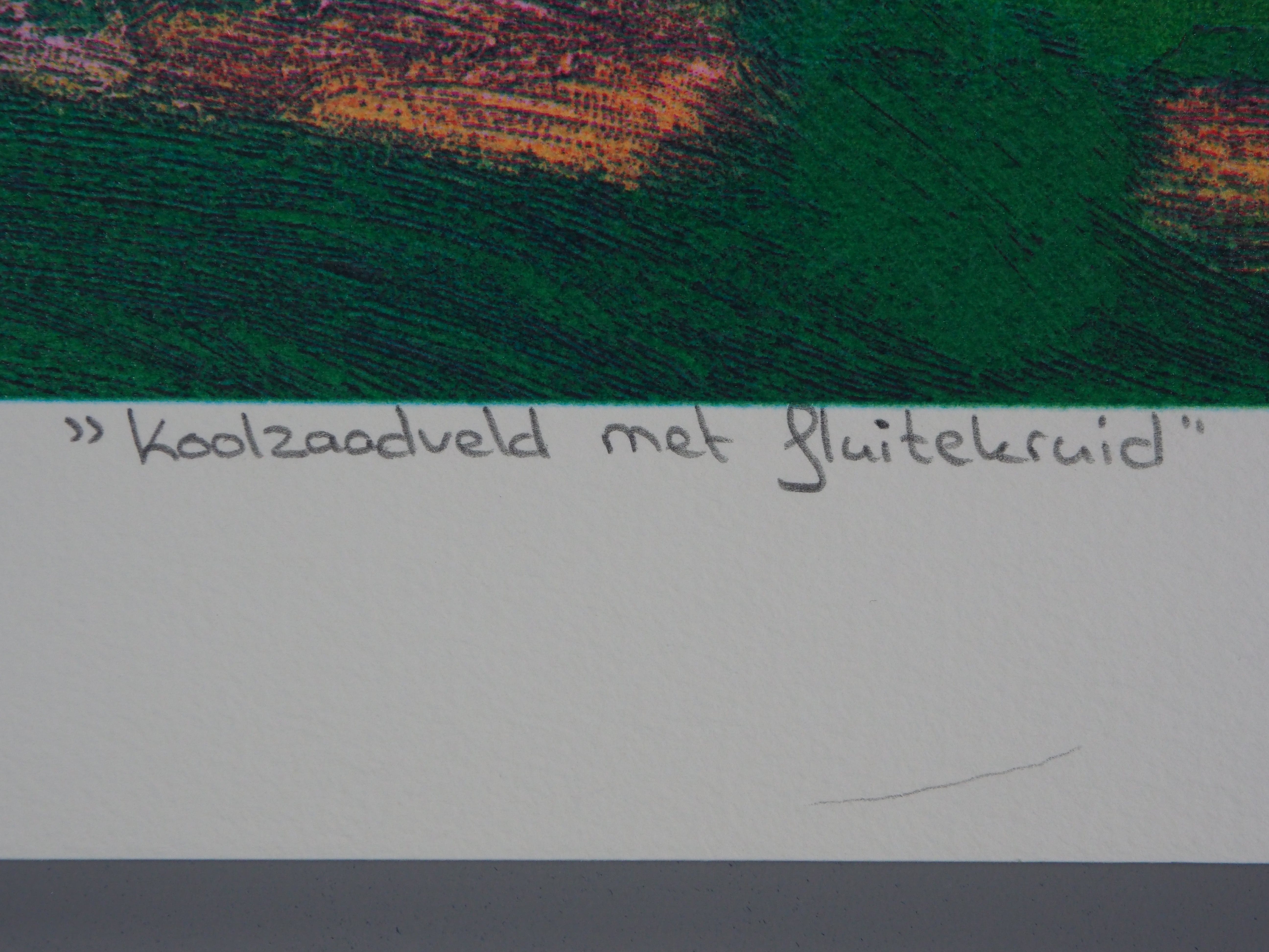 Jentsje Popma - Koolzaadveld met fluitekruid kopen? Bied vanaf 70!