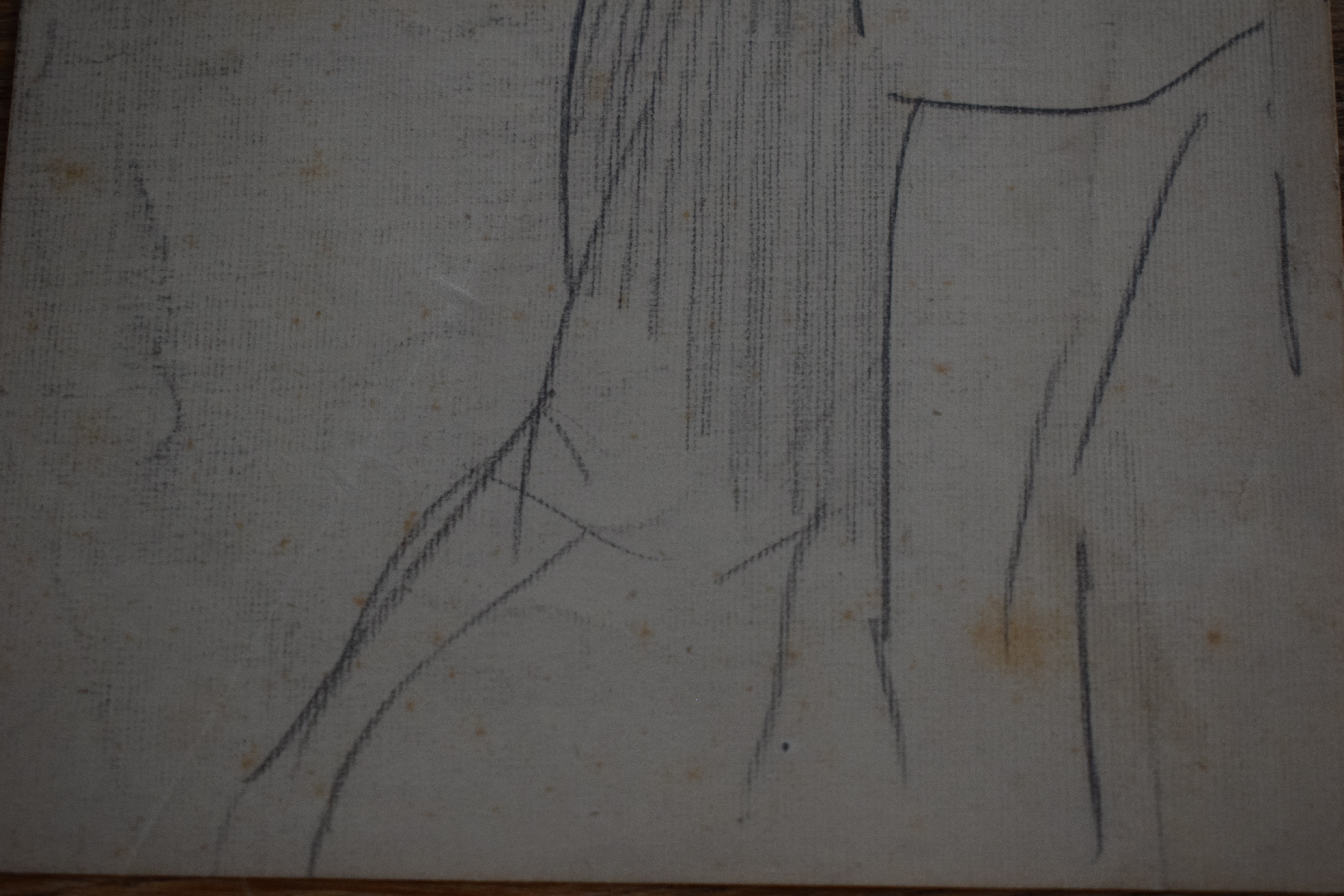 Willy Sluiter - Oh! Wim kopen? Bied vanaf 125!