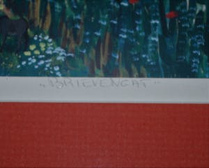 Fred Breebaart - Landhuis Brievengat, Curacao kopen? Bied vanaf 45!