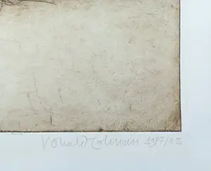 Ronald Tolman - Uit een jeugd, aquatint ets (groot, zeer kleine oplage) kopen? Bied vanaf 250!