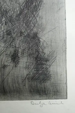 Dirkje Kuik - VROUWENPORTRET VENETIË kopen? Bied vanaf 40!