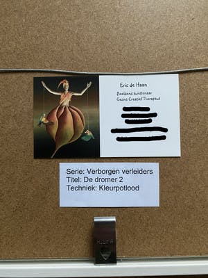 Eric de Haan - Verborgen Verleiders / de Dromer 2 kopen? Bied vanaf 99!