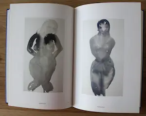Marlene Dumas - boek: wet dreams kopen? Bied vanaf 45!