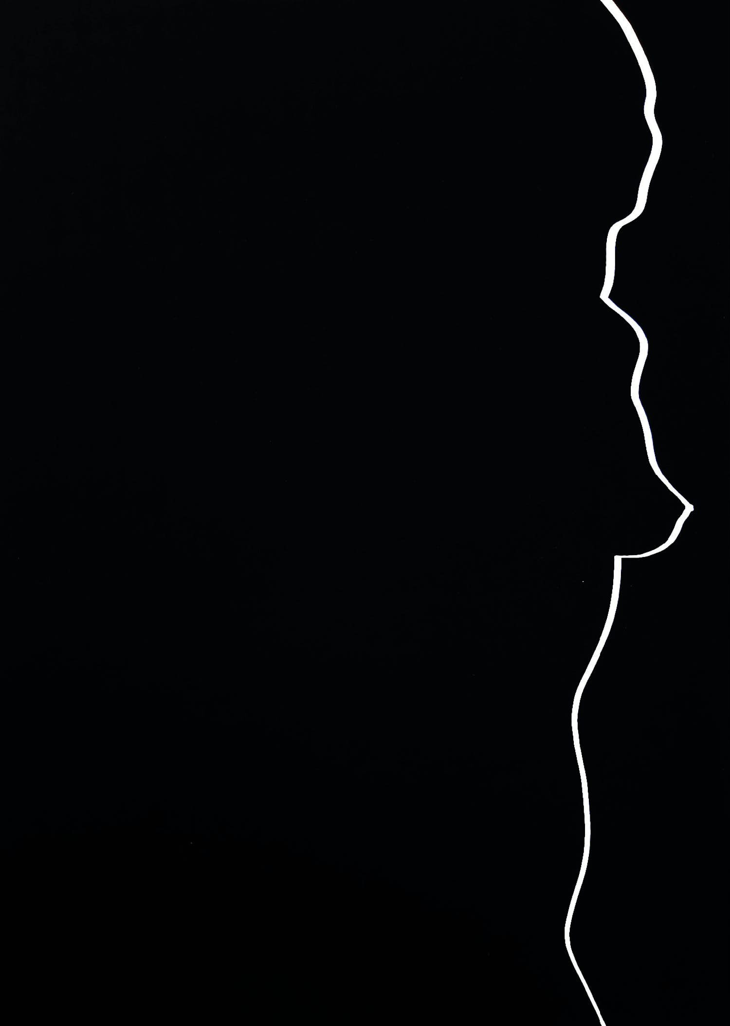 Harry van Kuyk - Contour, zeefdruk verkocht voor € 50!