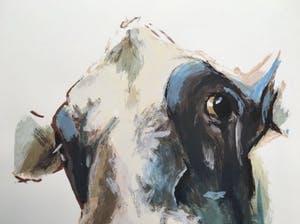 Theo Onnes - Hollandse koe II (ingelijst) kopen? Bied vanaf 90!