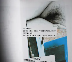 Herman Brood - Woedend Licht, incl zeefdruk + diversen kopen? Bied vanaf 100!