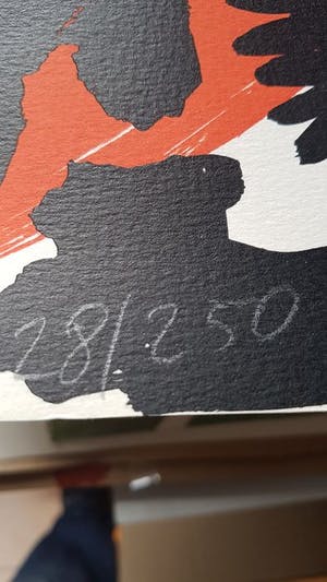 Helmut Middendorf - Zeefdruk. Titel, Olympic Centennial 1992 kopen? Bied vanaf 175!