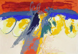 Robbert Fortgens - zeefdruk - 1996 - oplage 40/56 kopen? Bied vanaf 60!