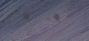 Jan Bollaert - Lambdaprint, The Little Butterfly - Ingelijst (Groot) kopen? Bied vanaf 70!