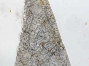 Tjeng Sit Oey - Collage, Zonder titel - Ingelijst kopen? Bied vanaf 50!