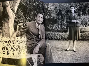 Buy Salvador Dali - The Illustrated biography of? Bid from 20!