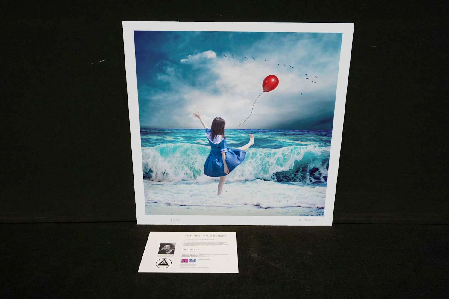 Mr. Strange - Het meisje in het blauw kopen? Bied vanaf 80!